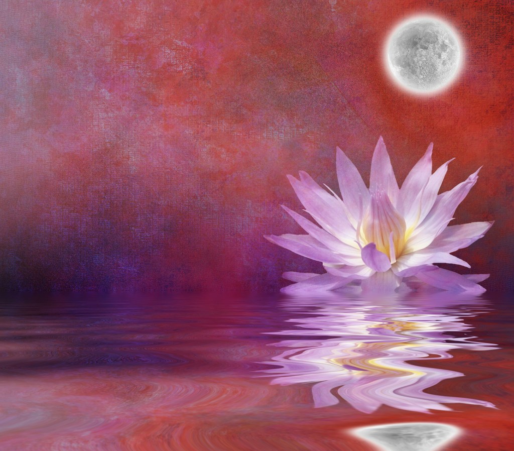 Can You Ever Live Up To Your Ideal&nbsp;Self?