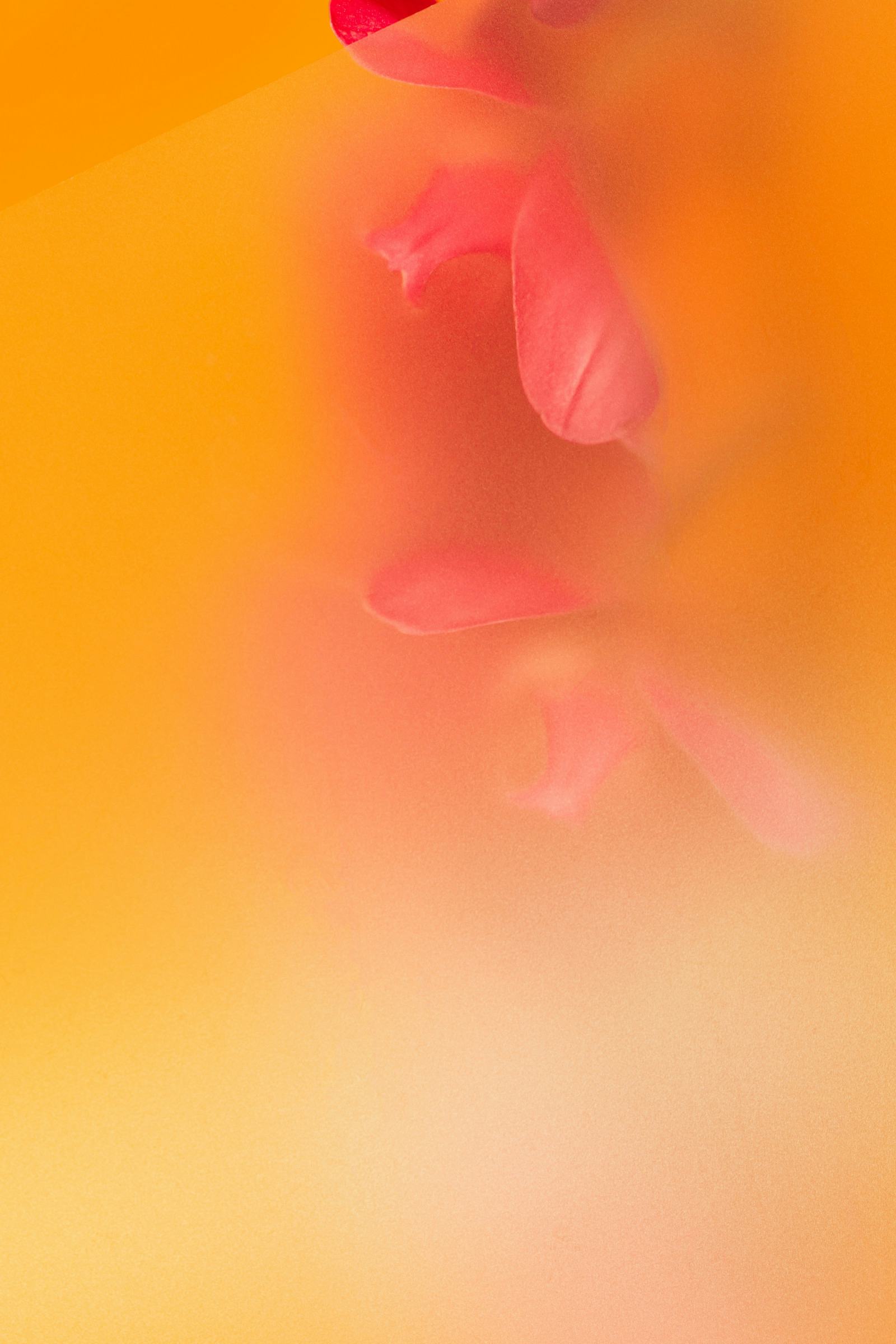 If You Can’t Place Me, Will You Stay?